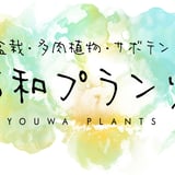 佑和プランツ|盆栽・多肉植物・サボテン