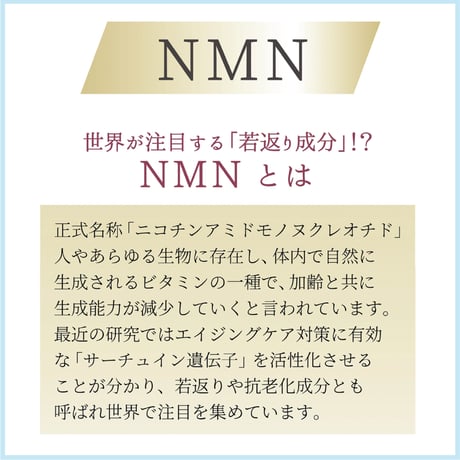 NMN グランファンデ