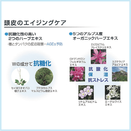 ファシナート ルーツリフト ローション