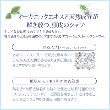 ﾘﾌﾚｯｼｭ ｽｷｬﾙﾌﾟｼｬﾜｰ 各種2本ｾｯﾄ