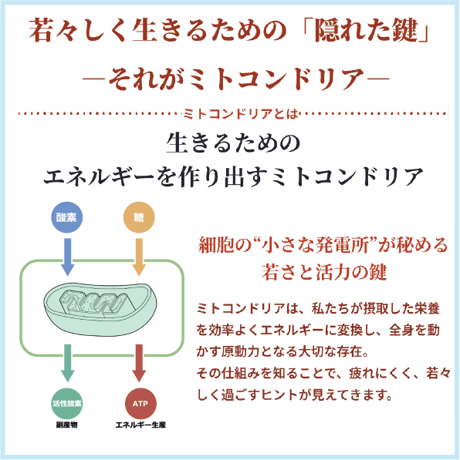 5DEAL 30粒