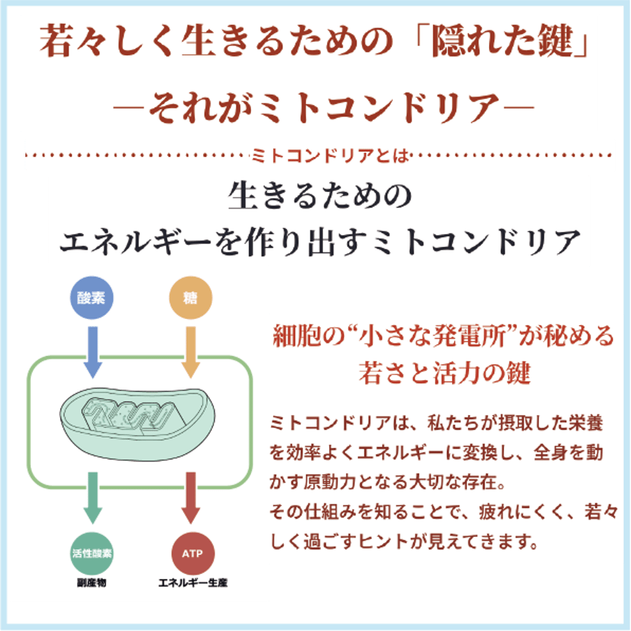 688debfb81cb29787336bd3c