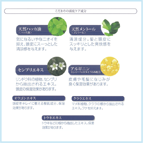 ﾘﾌﾚｯｼｭ ｽｷｬﾙﾌﾟｼｬﾜｰ 各種2本ｾｯﾄ
