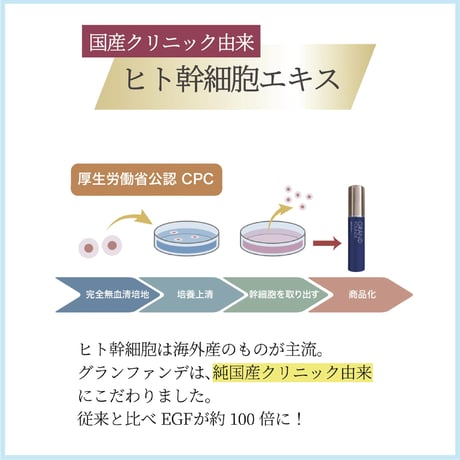 NMN グランファンデ