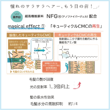 スカリナータツヤサラマジカルミスト