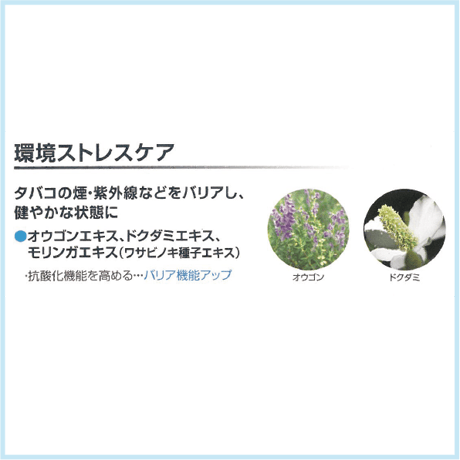 ファシナート ルーツリフト ローション