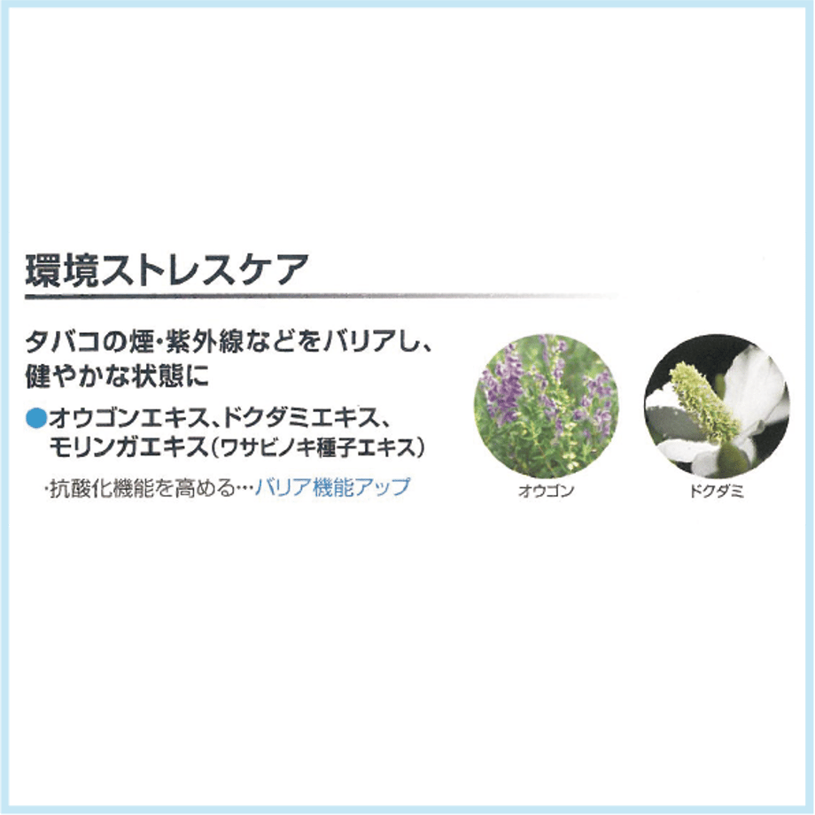 6846785def91a7322ca4fb3a