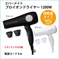 エバーメイトプロイオンドライヤー1200