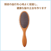 P-UP エクステラ テラヘルツ クッション ブラシ