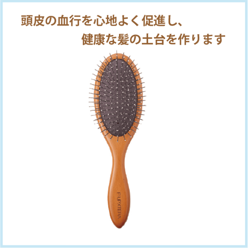 P-UP エクステラ テラヘルツ クッション ブラシ | 生涯青春SHOP