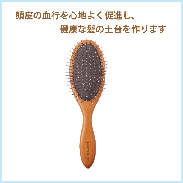 P-UP エクステラ テラヘルツ クッション ブラシ | 生涯青春SHOP