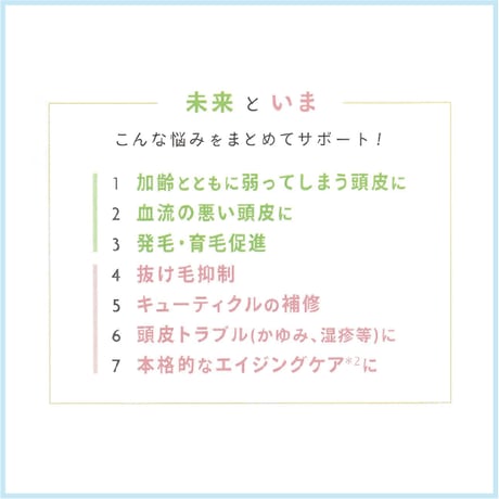 リヴァイア　お買い得セット