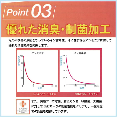 P-UP リカバリー インソール