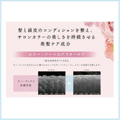 ジューダドルチェ メルティリペア トリートメント