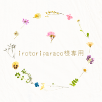 irotoriparaco様専用