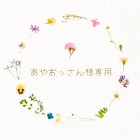 あやおっさん様専用
