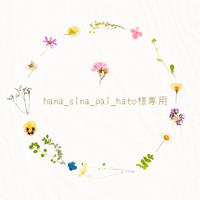hana_sina_pai_hato様専用