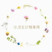らぷえび様専用