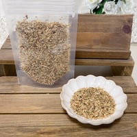 エルダーフラワー（単品）