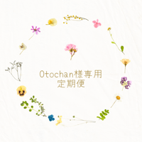 《定期便》Otochan様専用