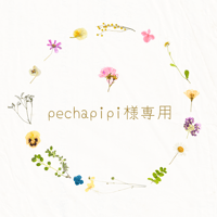 pechapipi様専用