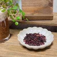 ハイビスカス（単品）