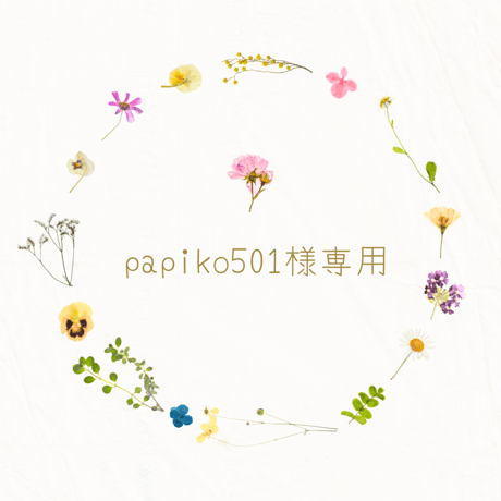 papiko501様専用