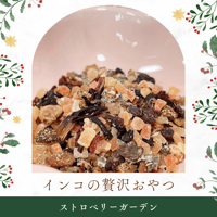 インコの贅沢おやつ　ストロベリーガーデン