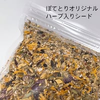 ぽてとりオリジナルハーブ入りシード