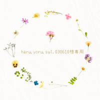 haru.yoru.sui.030610様専用