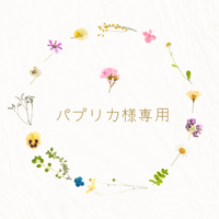 パプリカ様専用