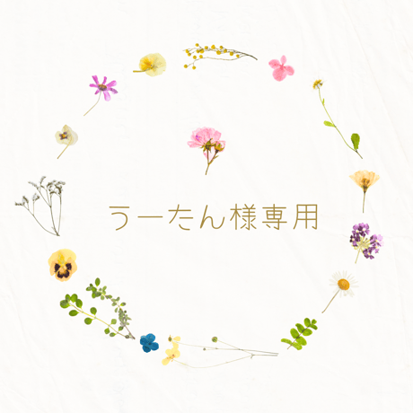 うーたん様専用