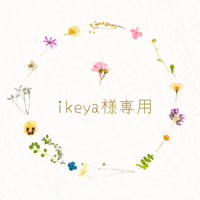 ikeya様専用