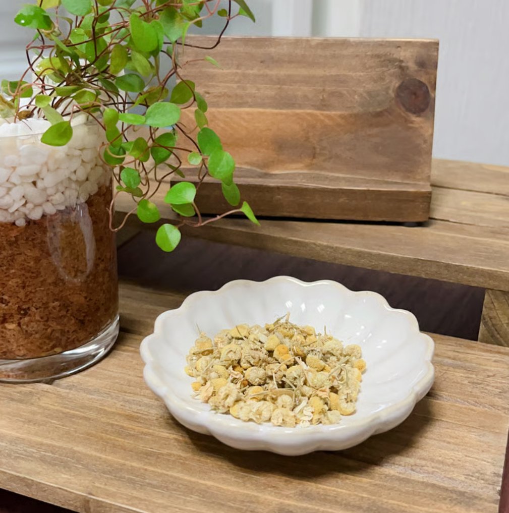 カモミール（単品） | インコのハーブ専門＊ぽてとり
