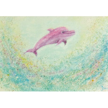 ピンクドルフィン | STORES