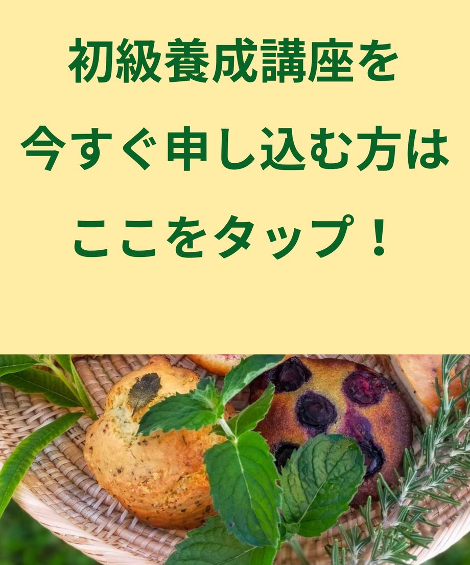 6835612c9d5f2b2e51dbd734