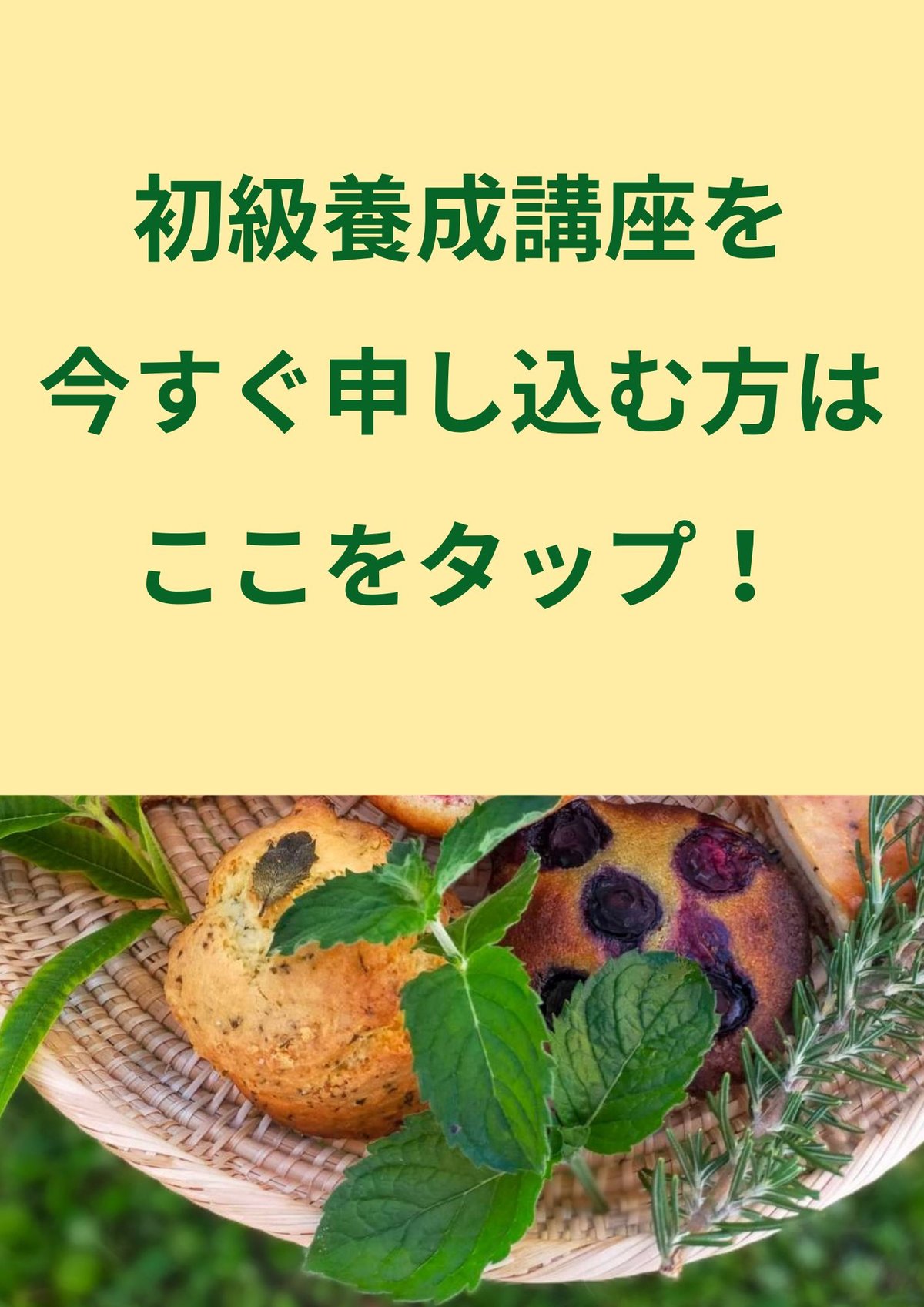 紙書籍＆特典付き【日本ハーブスイーツ協会認定】ハーブスイーツマイ