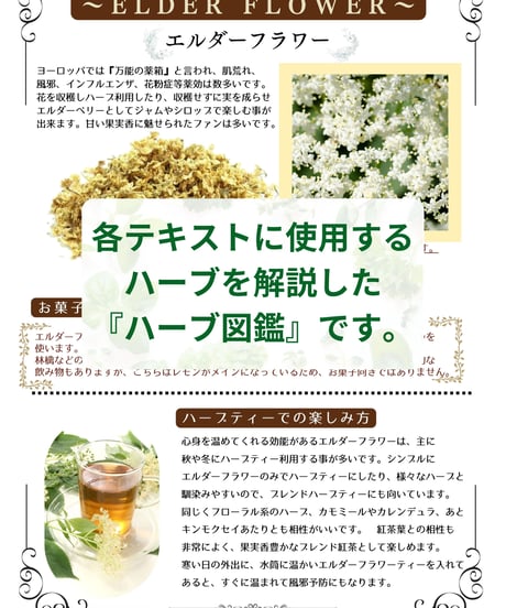 ハーブスイーツ中級講座デジタルテキスト※海外対応可能です。（本文デジタルデータのみ＆修了証明書＆回数無制限メールサポート）