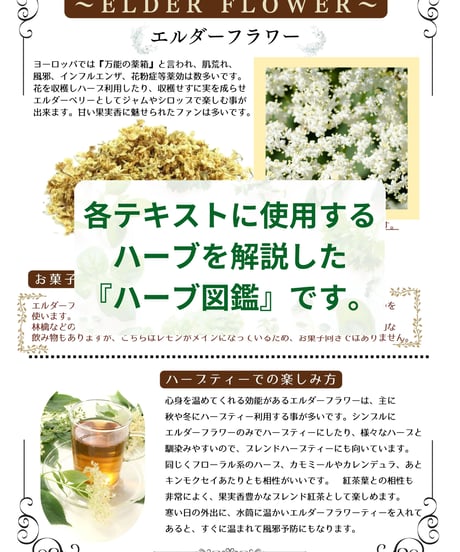 紙書籍＆特典付き【日本ハーブスイーツ協会認定】ハーブスイーツマイスター®養成講座『初級講座セット』