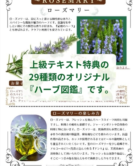 紙書籍＆特典付き【日本ハーブスイーツ協会認定】ハーブスイーツマイスター®養成講座『上級講座セット』