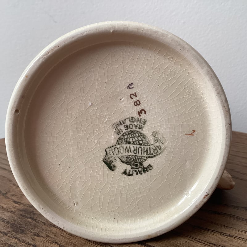 1953 Vintage Queen Elizabeth ll Coronation mug