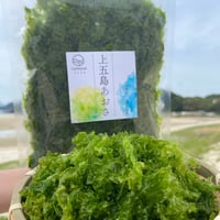 上五島生あおさ（冷凍）100g×5個セット