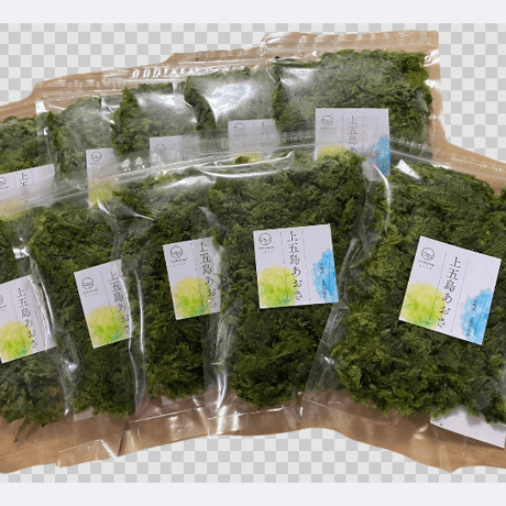 上五島生あおさ（冷凍）  100g×10個セット