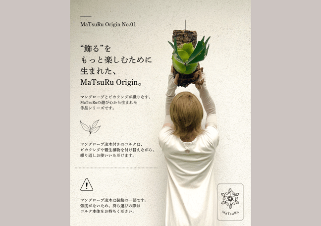 MaTsuRu（ビカクシダ／胞子培養・板付け販売）