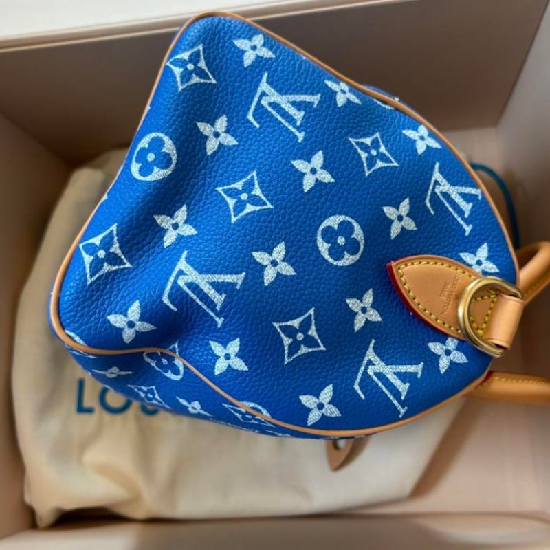 LOUIS VUITTON ルイヴィトン スピーディ 25 pharrell | ルイヴィトン