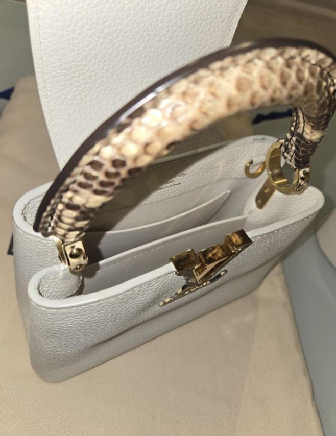 ルイヴィトン カプシーヌ MINI LOUIS VUITTON ルイヴィトン カプシーヌ mini パイソン | ルイヴィトン