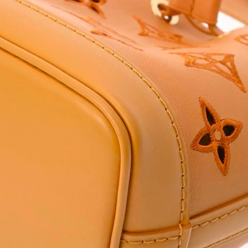 LOUIS VUITTON ルイヴィトン ナノノエ サフラン | ルイヴィトン専門店
