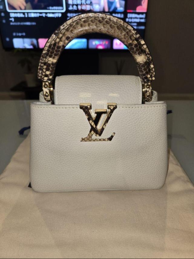 LOUIS VUITTON ルイヴィトン カプシーヌ mini パイソン | ルイヴィトン