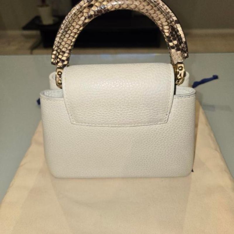 LOUIS VUITTON ルイヴィトン カプシーヌ mini パイソン | ルイヴィトン