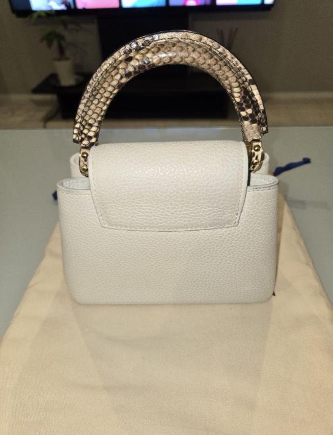 LOUIS VUITTON ルイヴィトン カプシーヌ mini パイソン | ルイヴィトン